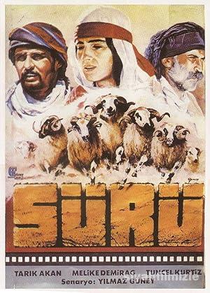 Sürü 1978 Yerli Filmi Full Sansürsüz izle